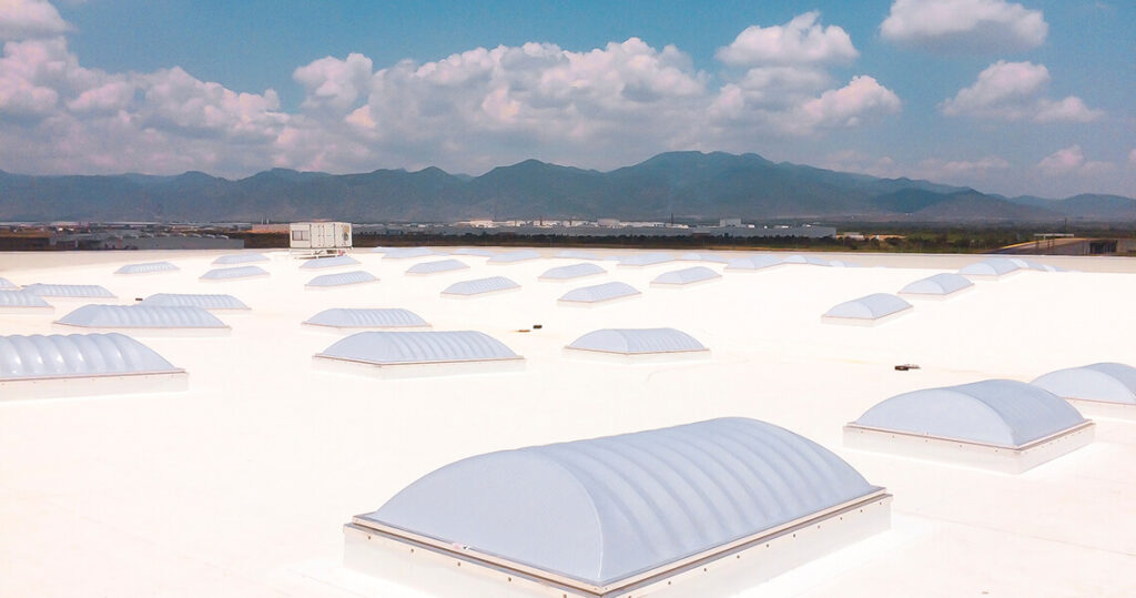 planta-loreal-04